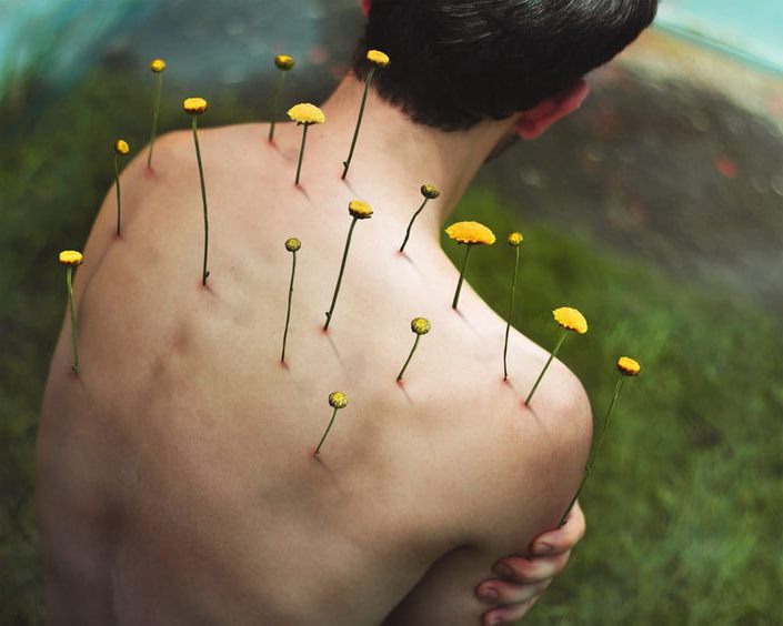 Nuestro caso empírico