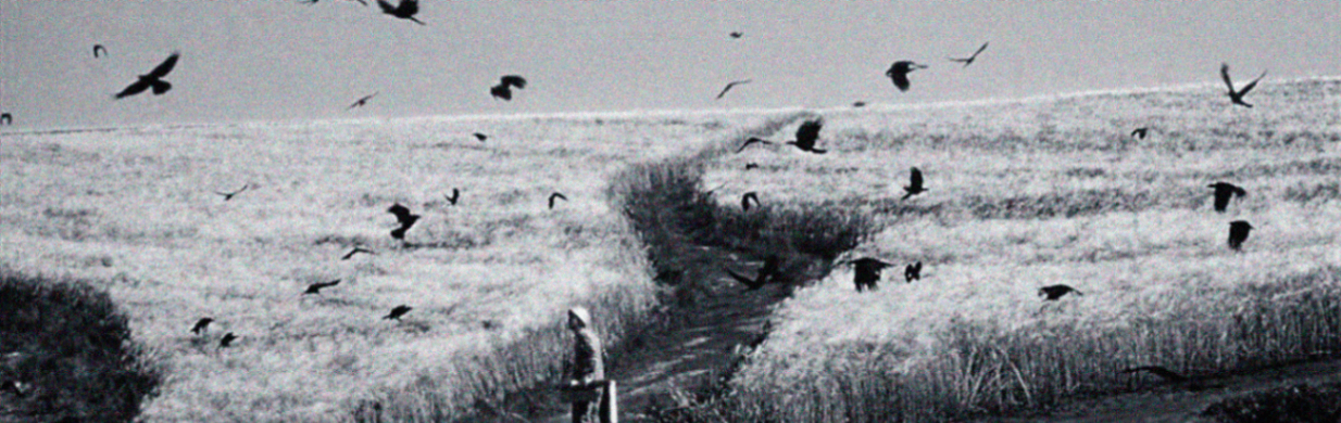 El Acto de Mutar en Silencio