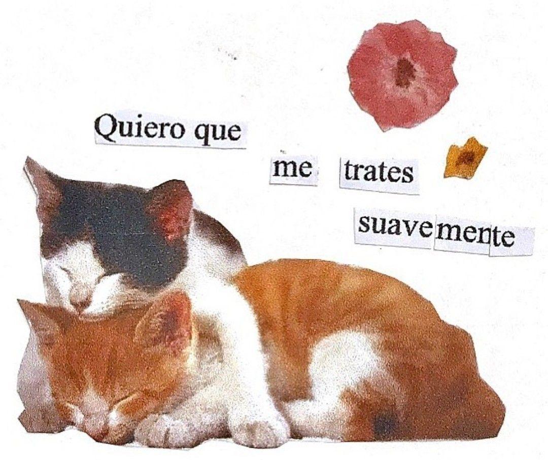 y es que si hoy muero ; 