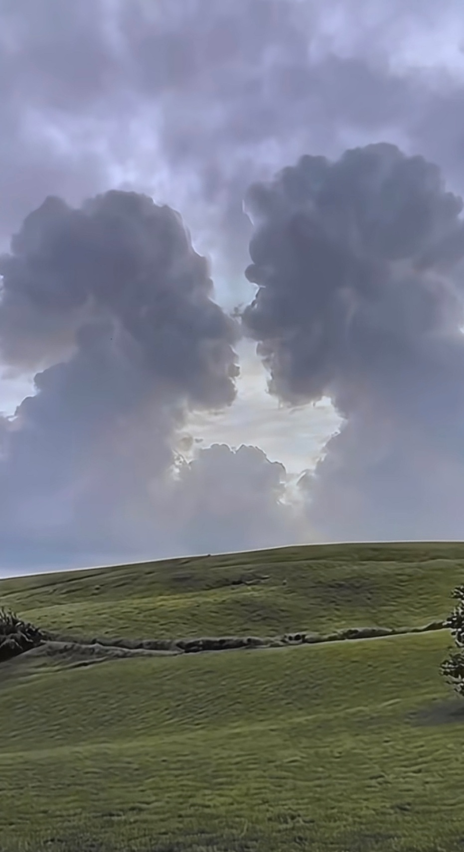 Creo que te voy a extrañar