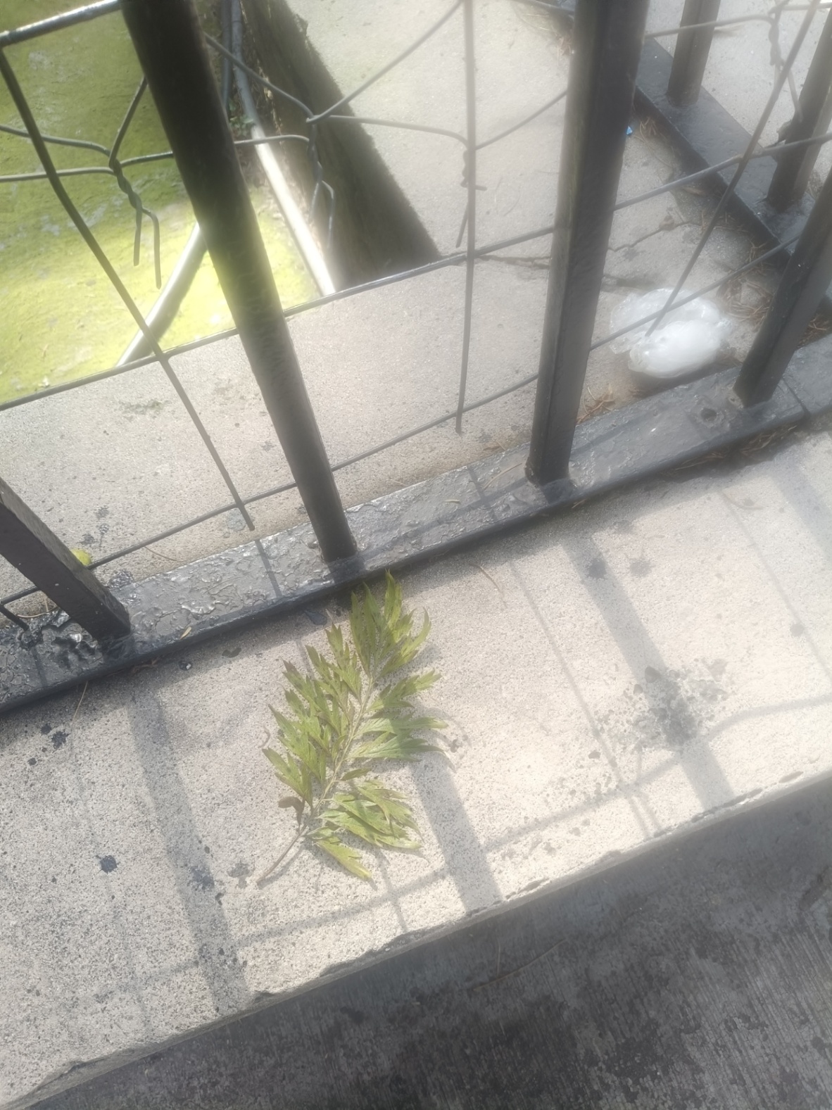 Y  esa es la moraleja de la historia.