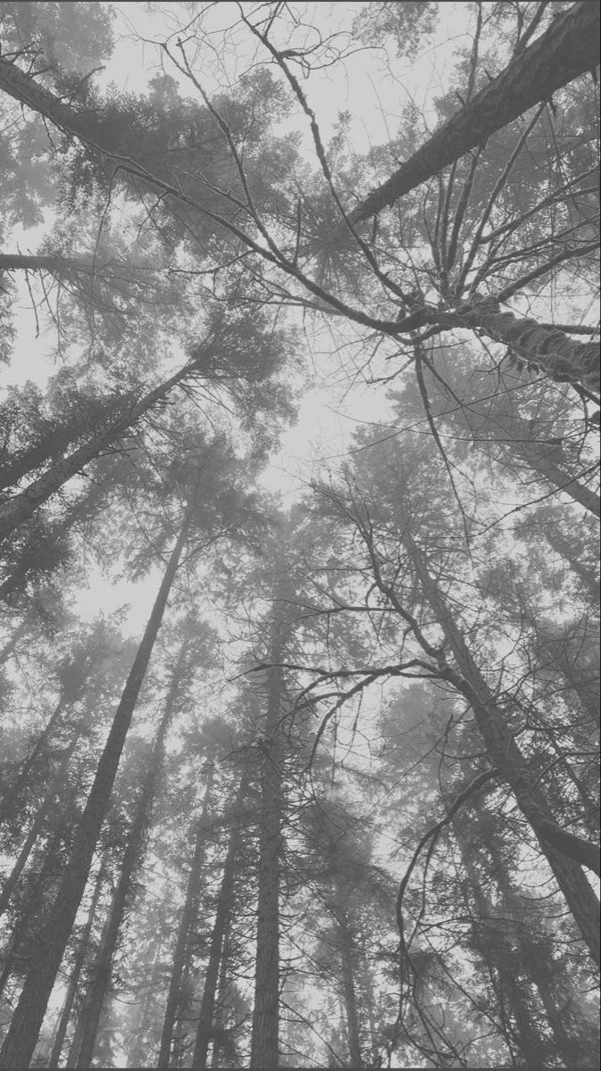 Filtro