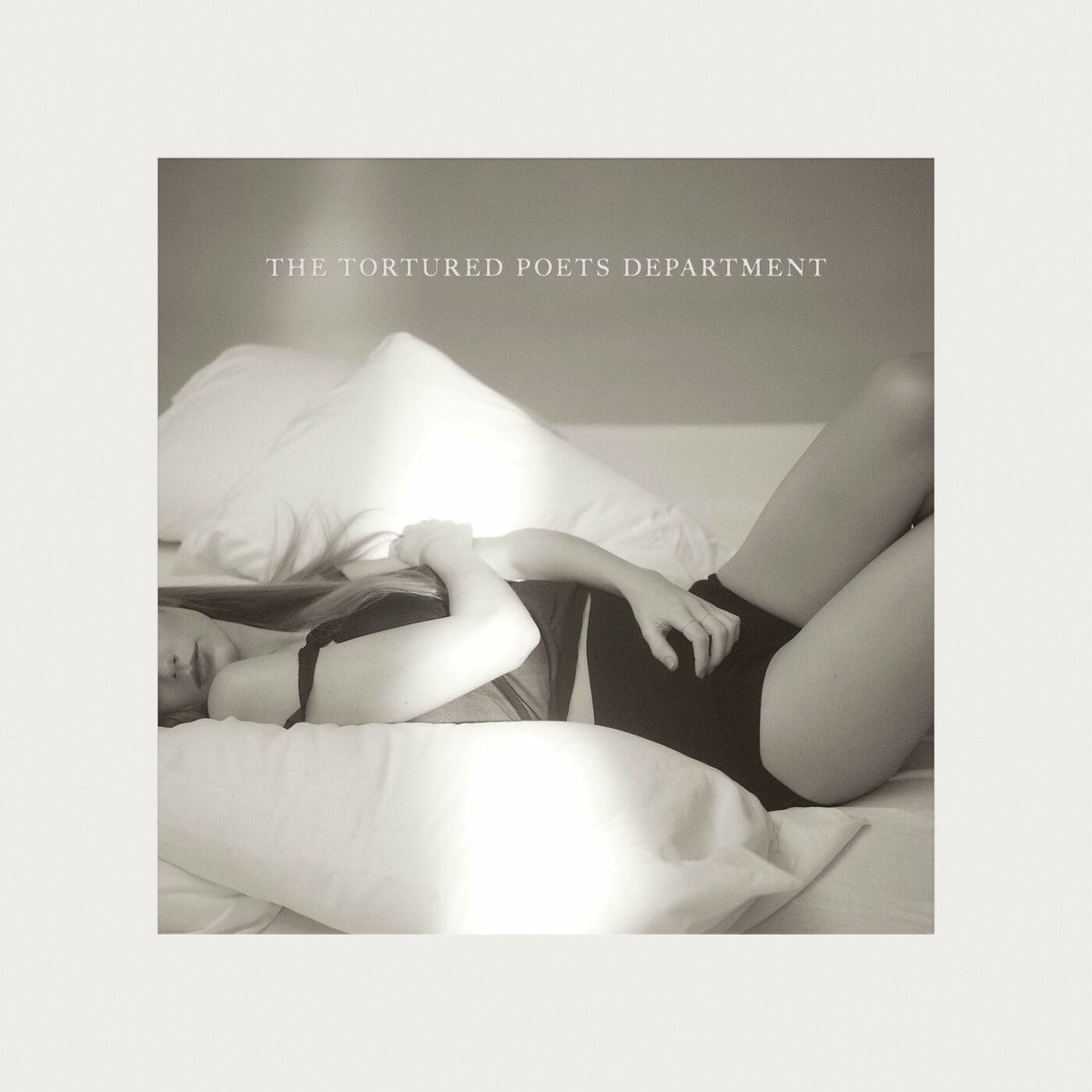 IN SUMMATION - THE TORTURED POETS DEPARTMENT 