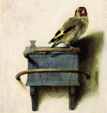 Tuve un sueño con un pájaro