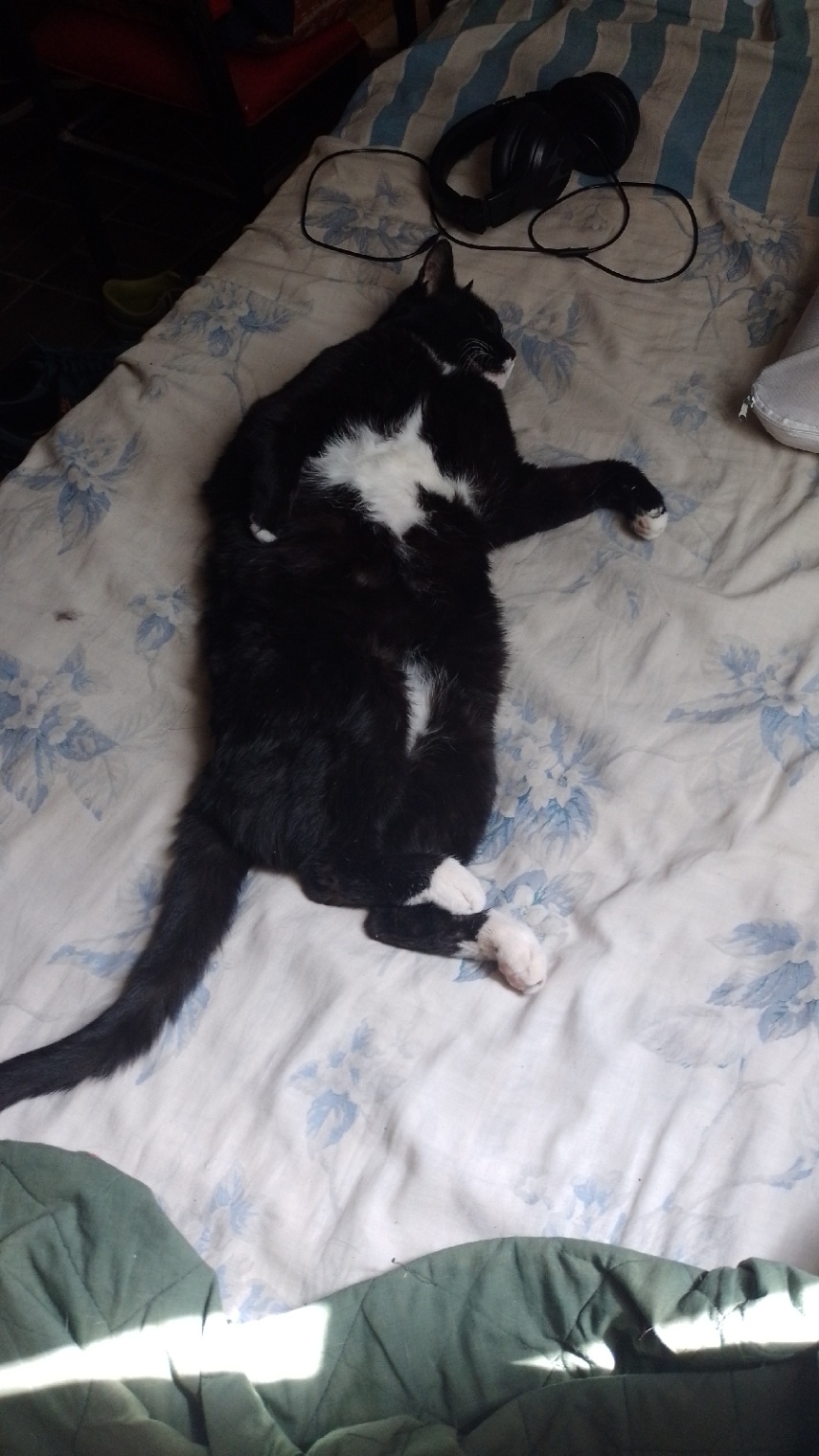 Es necesario todo este dolor? Las cosas tienen un final? Si la muerte se apurase estaríamos juntos los 3