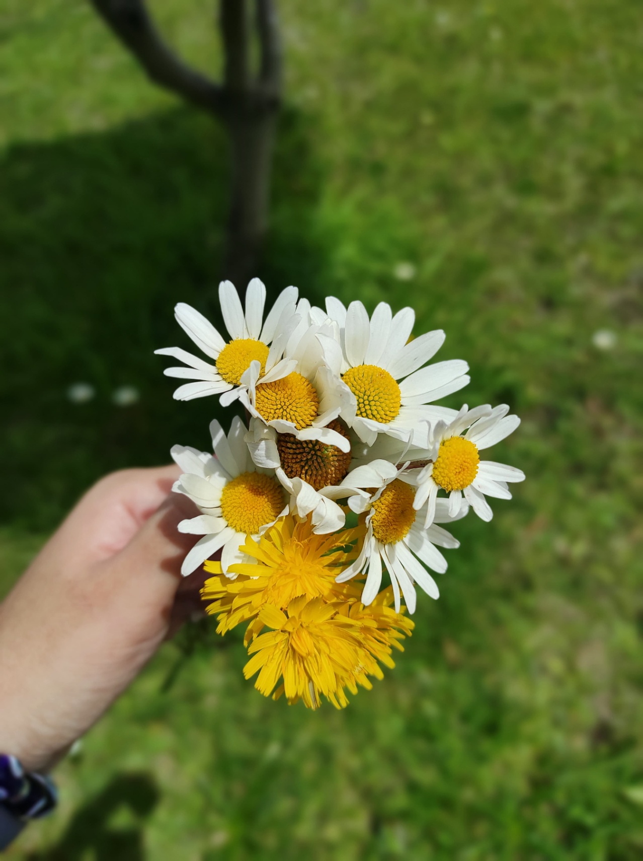This makes me think of the wedding in Jackson🌼