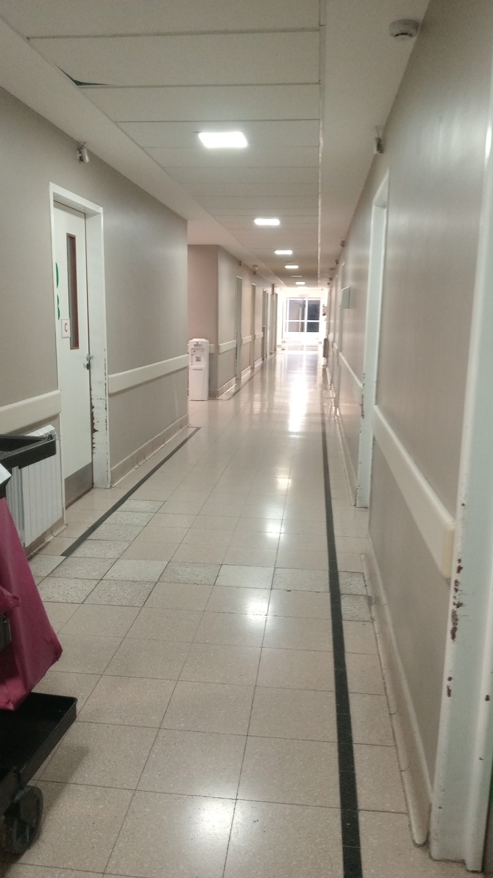Las penumbras de la habitación del hospital...