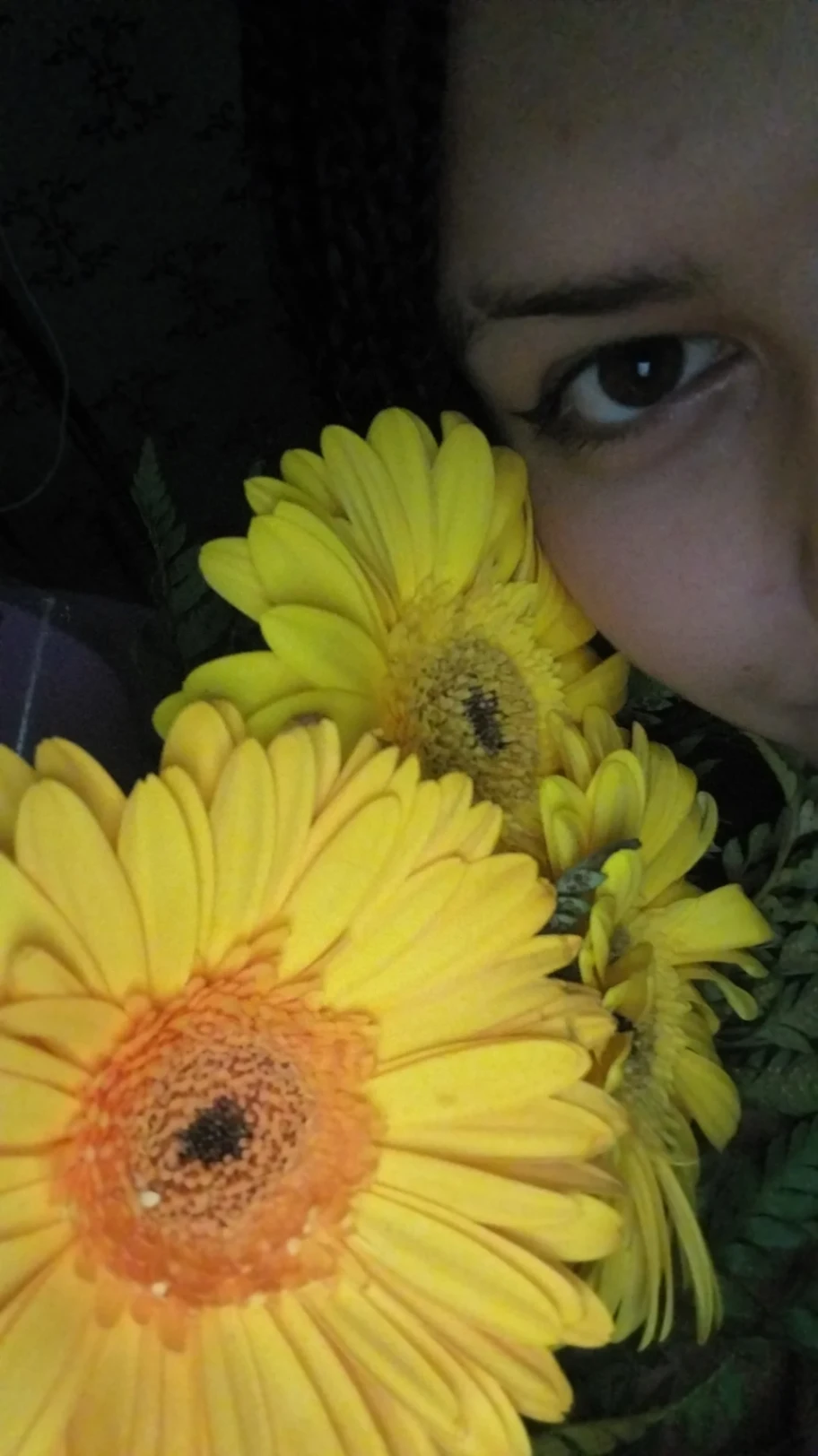nahi cover img