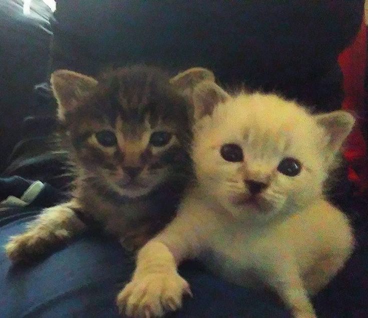 la intimidad de creer en alguien 