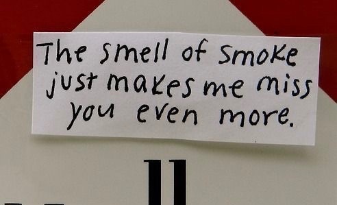 te soñé ¿lo sentiste?