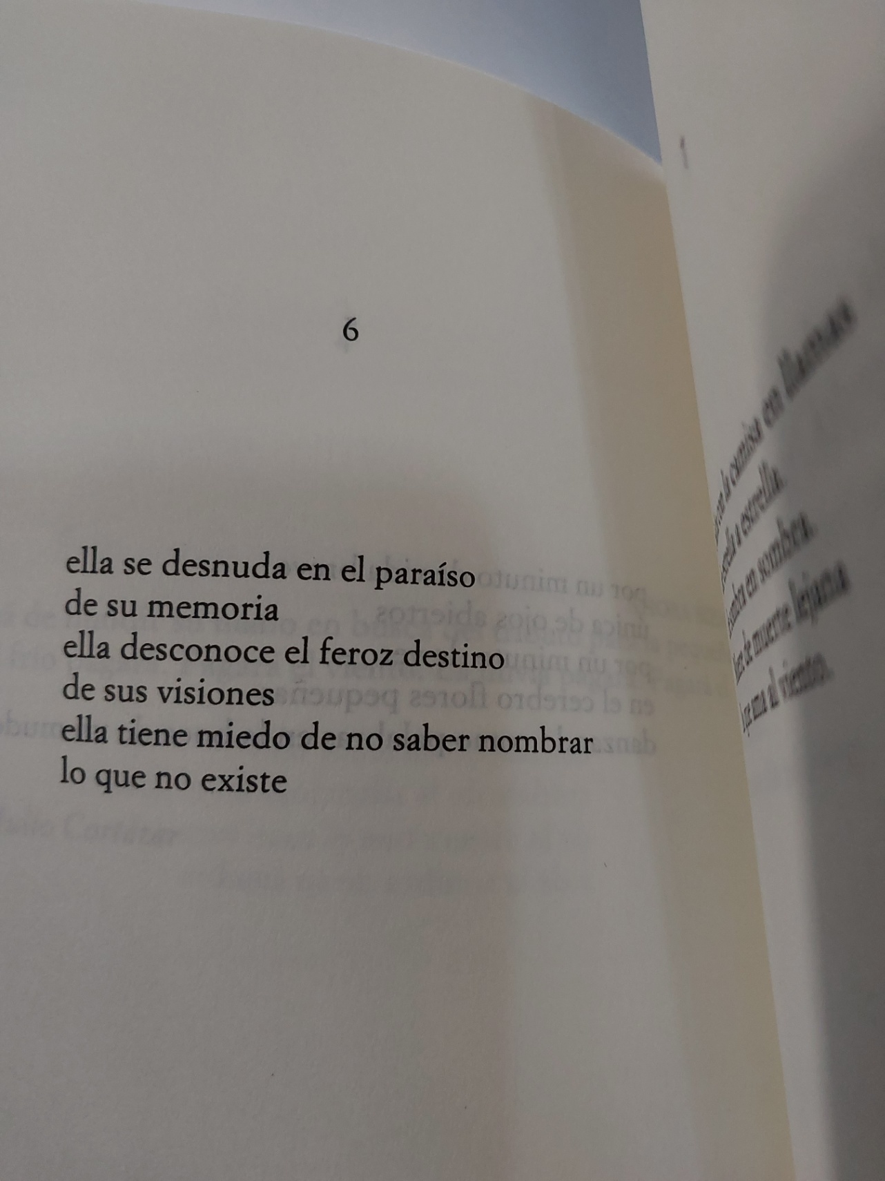 Julia Ferrari cover img