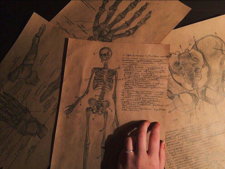 El engendro de Frankenstein 