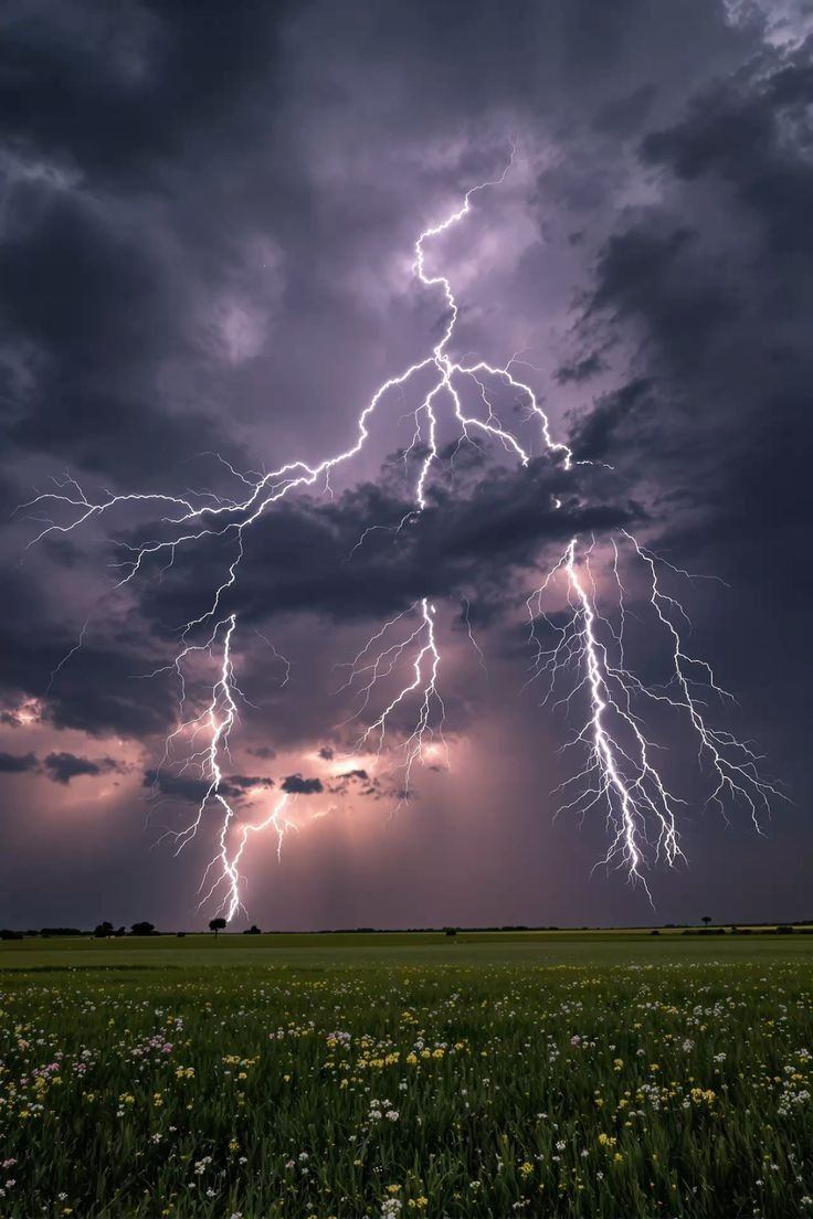 Silent Storm cover img