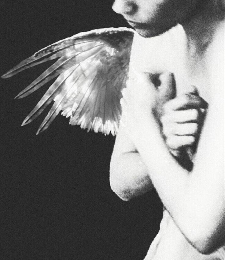 My dear, goodbye.