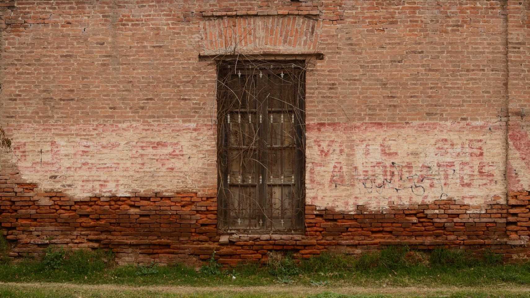 La belleza en la llanura