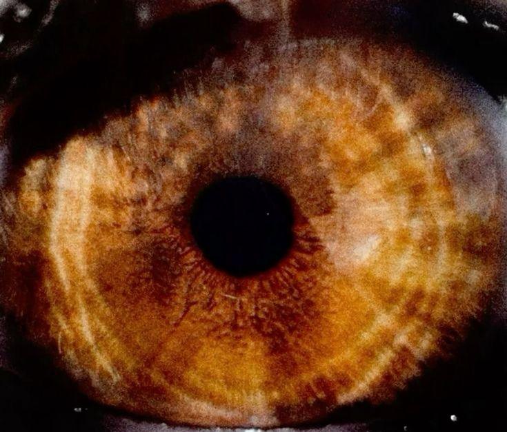 Pitonisa de la antipalabra en la entre línea