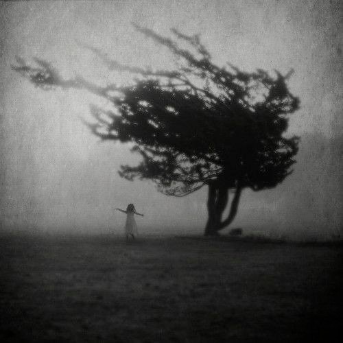 Árbol de la muerte