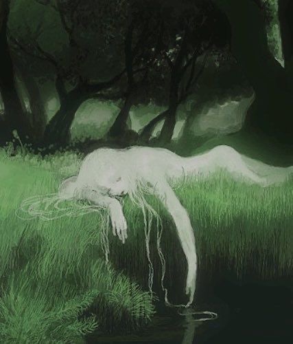Bosque perdido.
