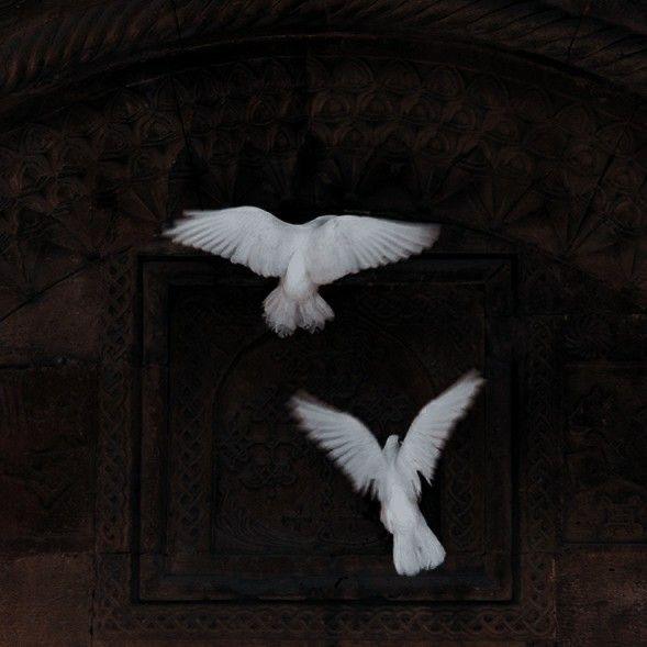 Anatomía del vértigo (cuando el gira toca el hueso)