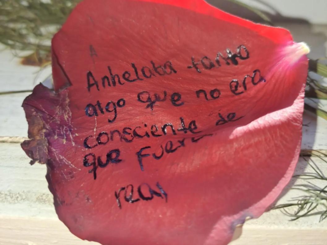 siento, quizá demasiado