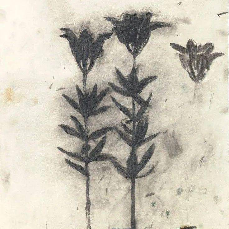 parece que duermes en espinas 