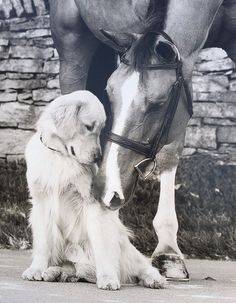 Del amor y un poco más