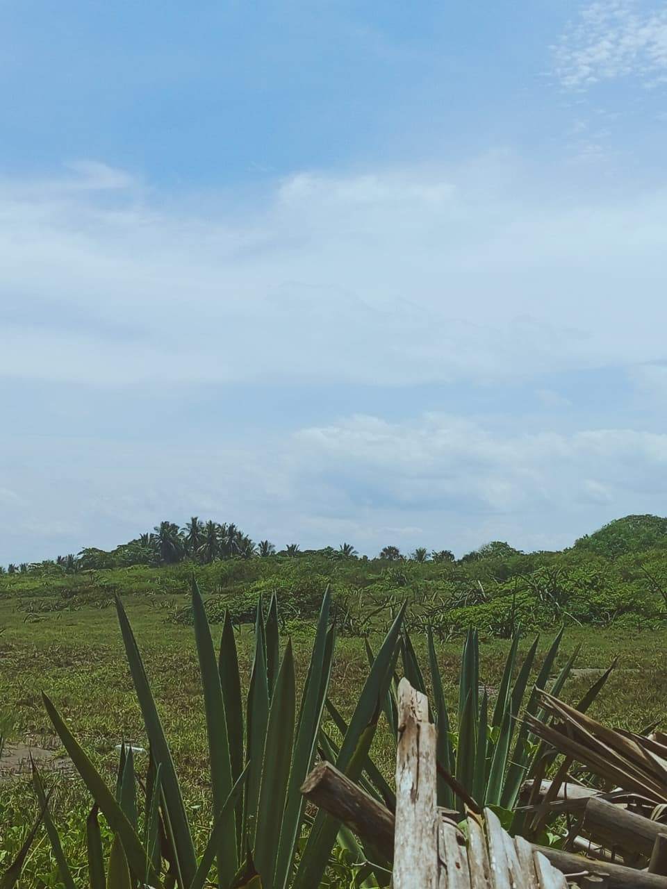 Miel Poetry cover img