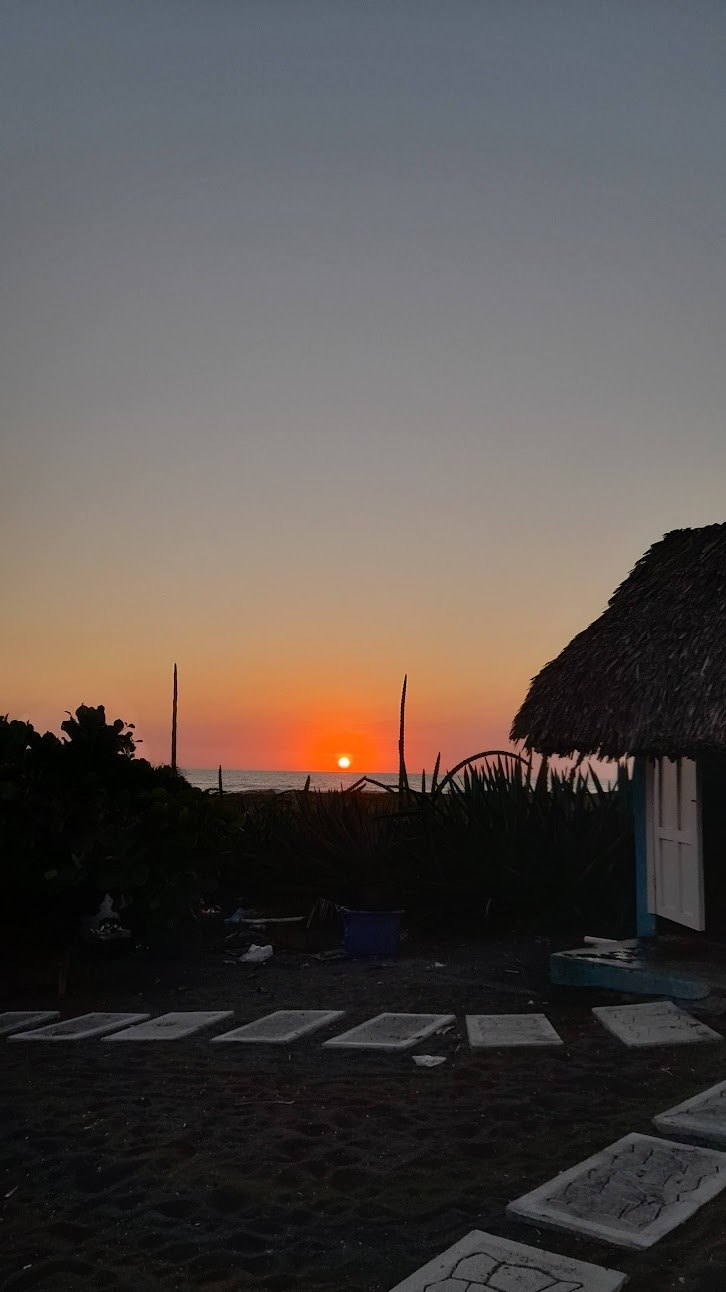 El verano y tú