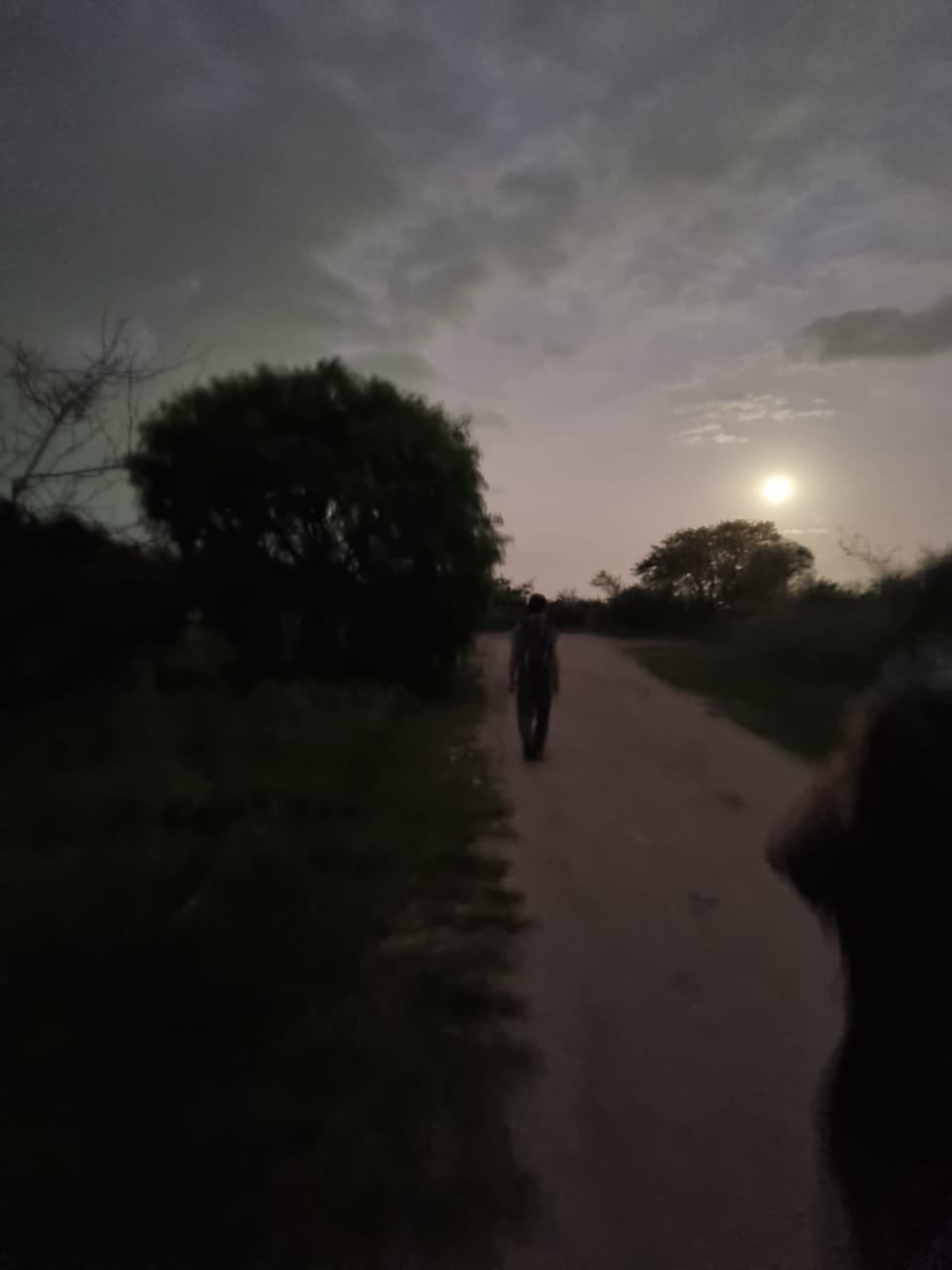 El poema que te dediqué