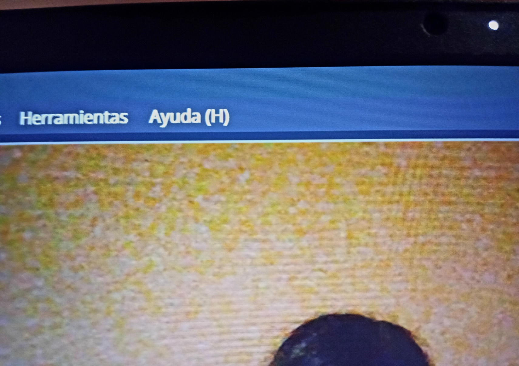No puedo vivir sin mí