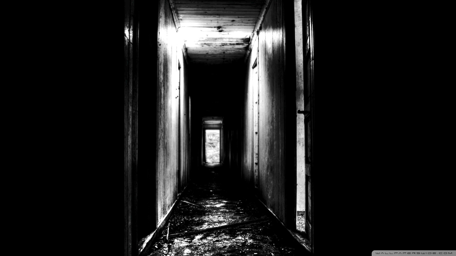 Entre sueños y pesadillas