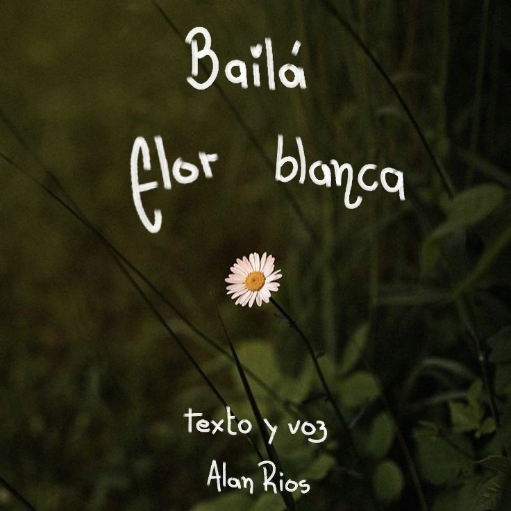 Bailá, flor blanca.