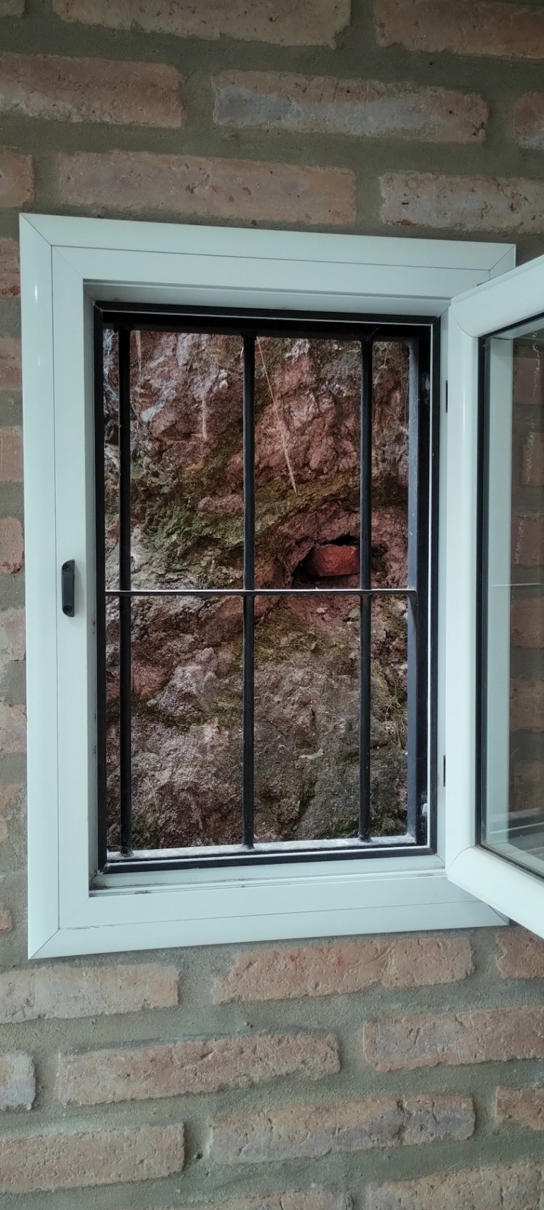 Pertenecí al árbol