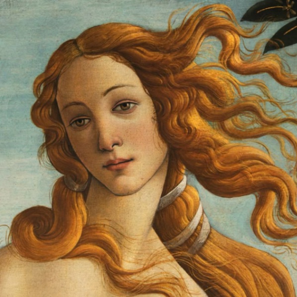 colypoeta 