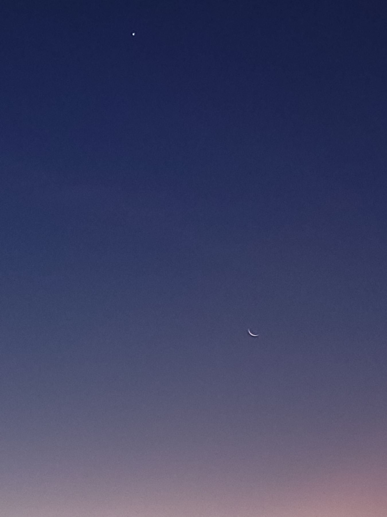 Eco de pérdida: ¿sanará el tiempo?