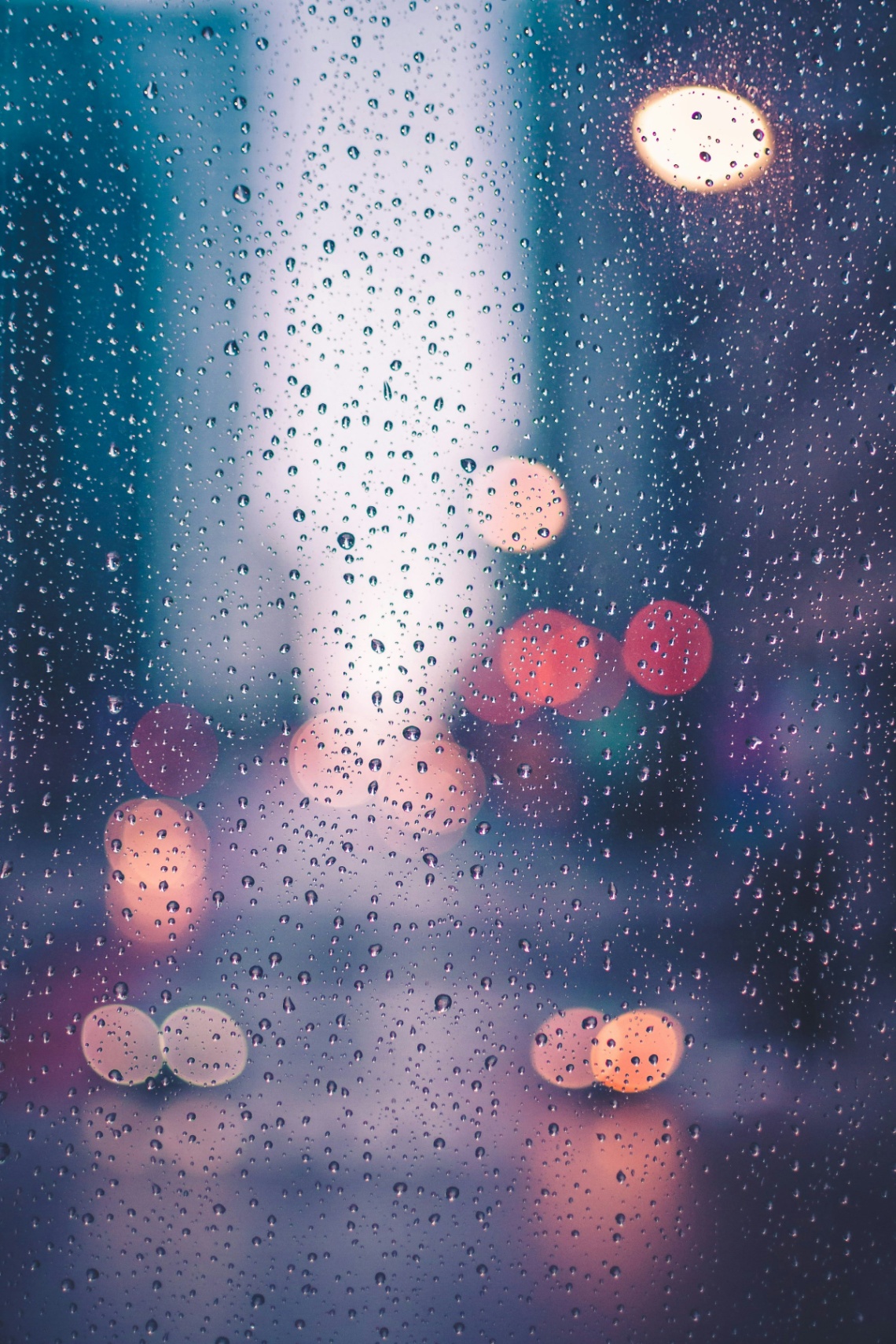 Lo que en la lluvia reencarnó