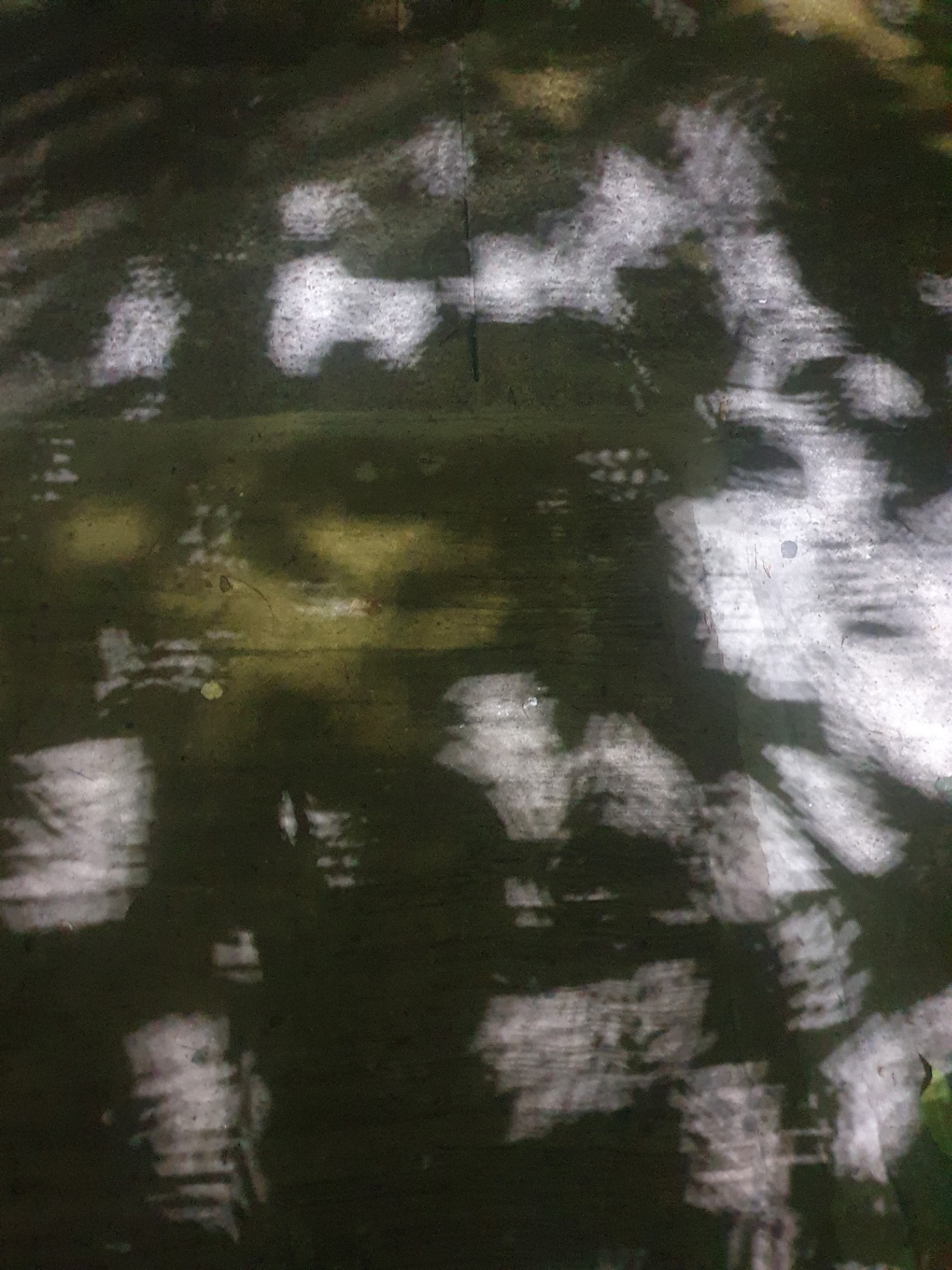 La rabia por la felicidad