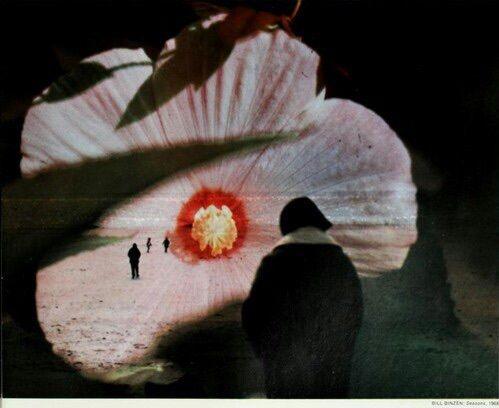 ¿Cuándo será verano?