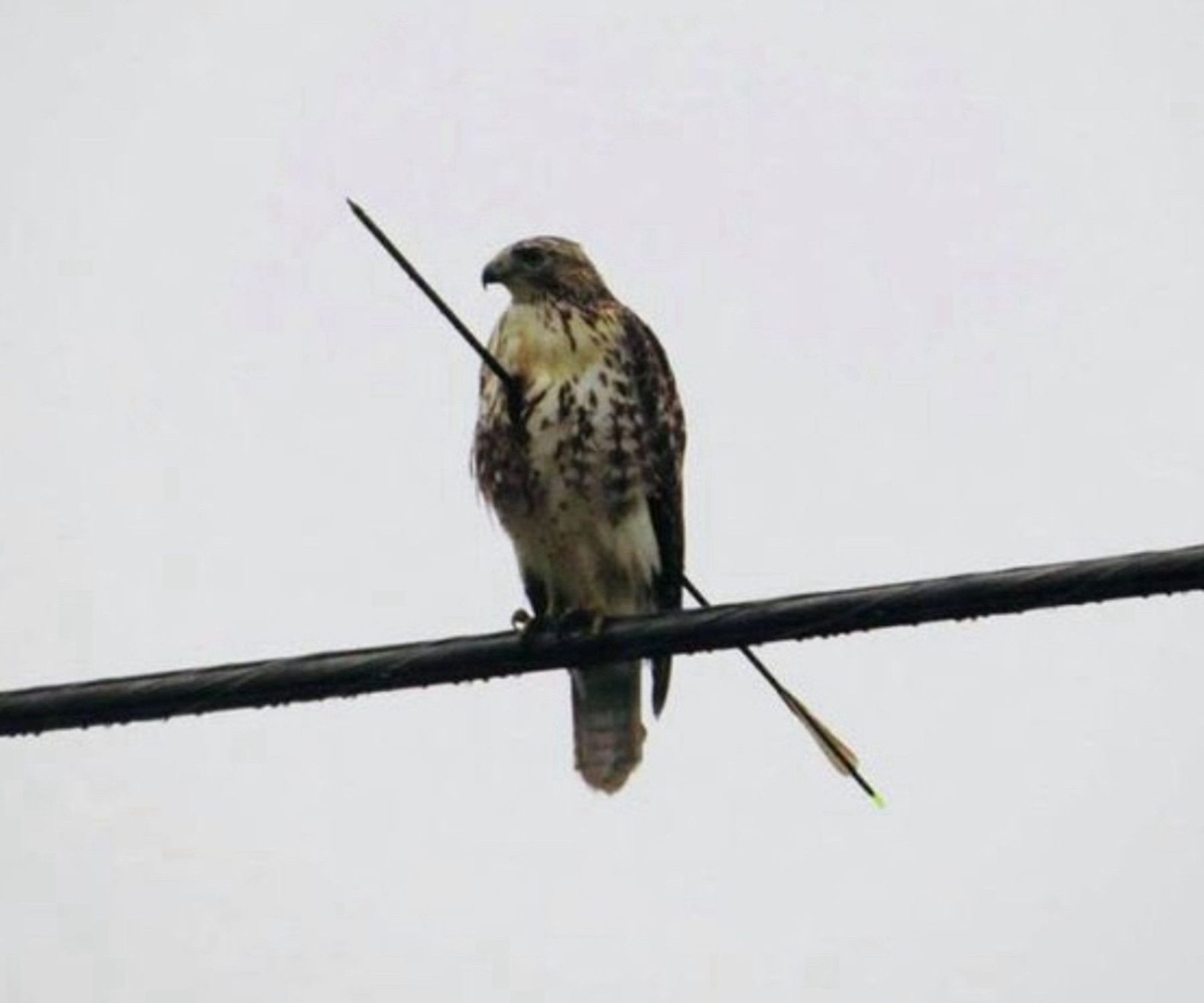 Hay una fiesta y no estoy invitado.