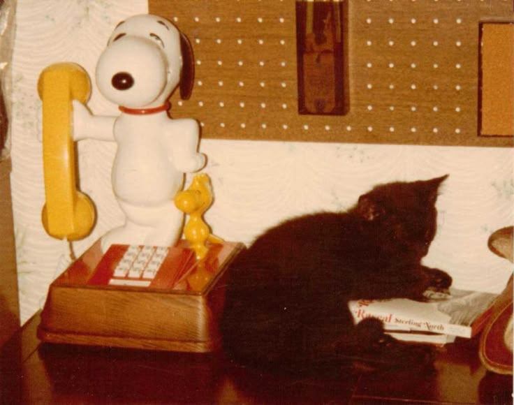 llanto–'cristalino.