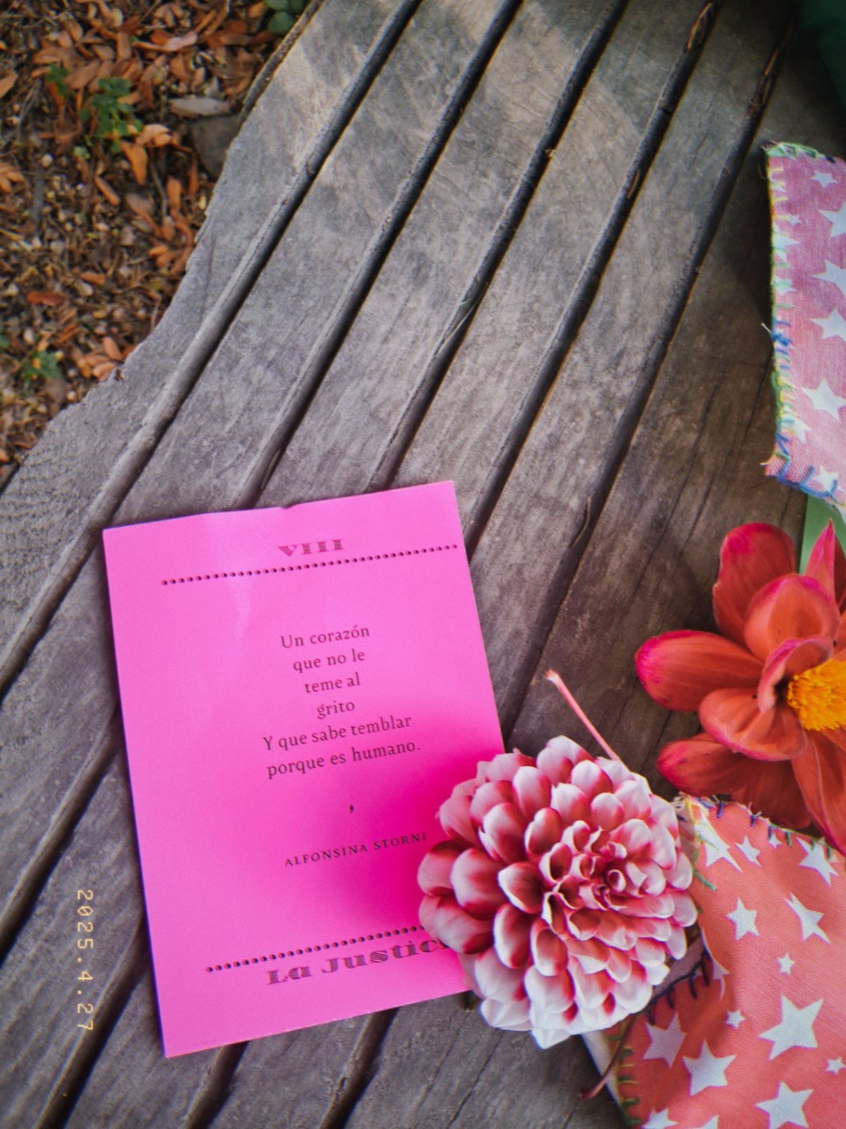 Lucesita 🕯 cover img