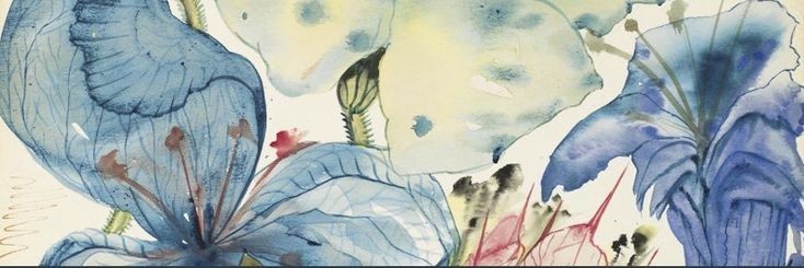 sakii cover img
