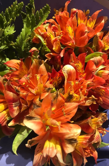 Fines de Febrero 28/02/26