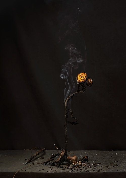 En el portal del dolor