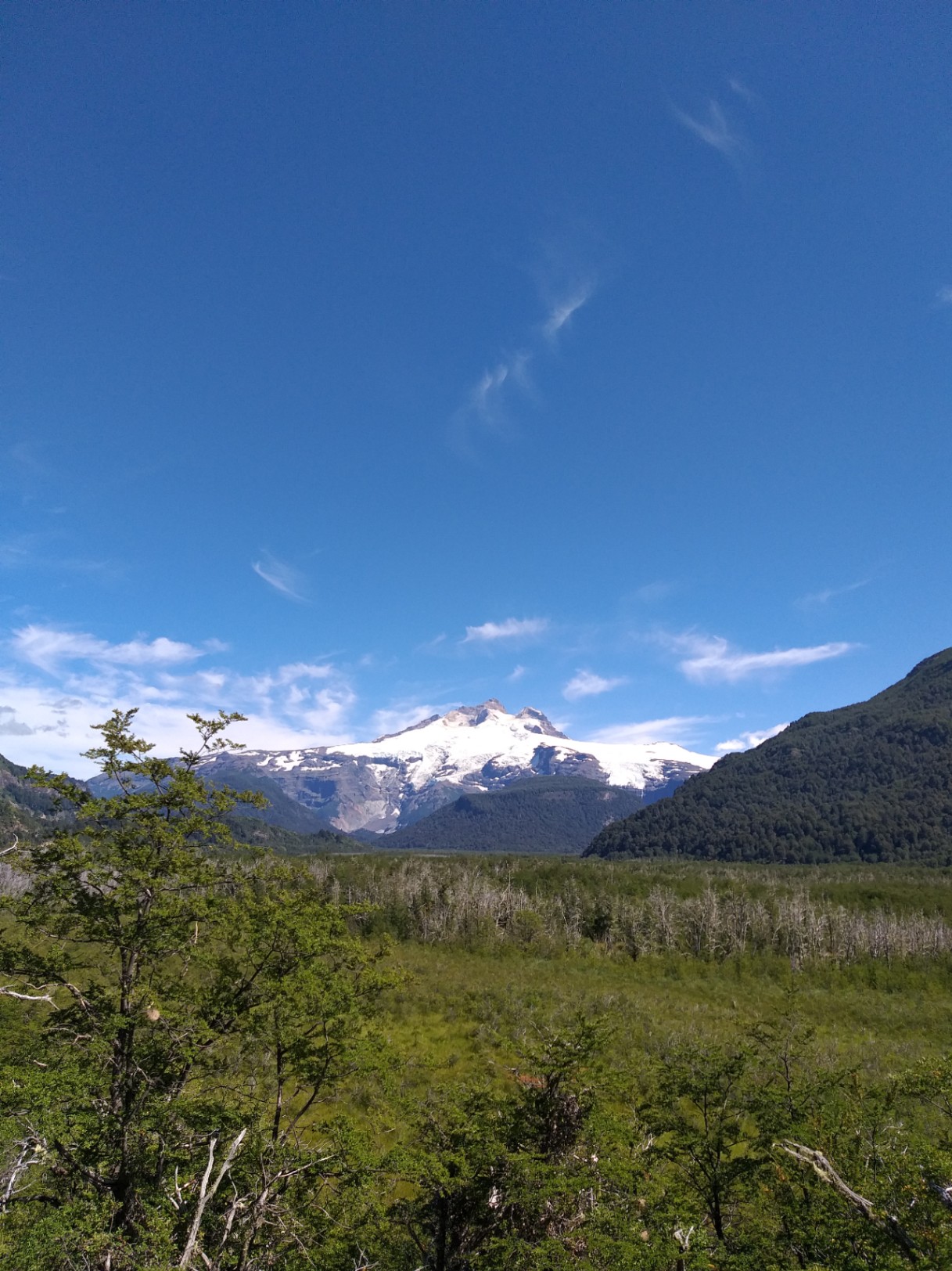 Martin Zeballos cover img