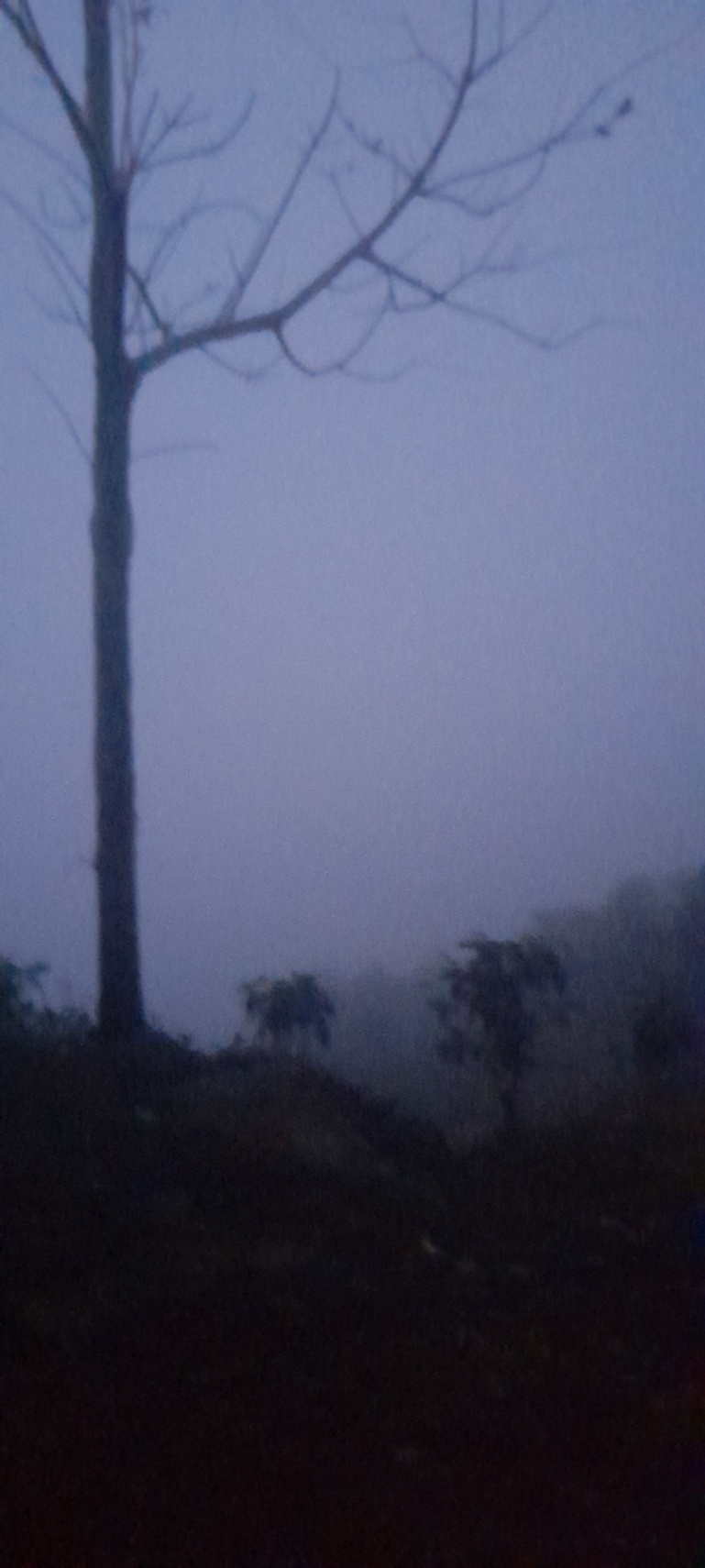último adiós 