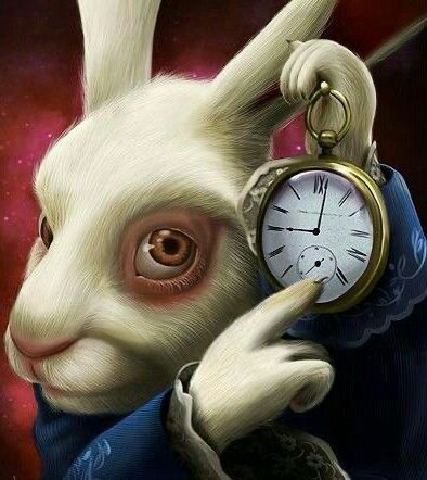 la casa donde las palabras no pesan