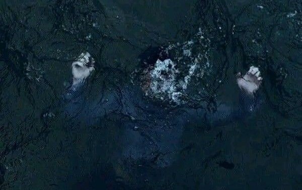 Engineered to Fall Apart