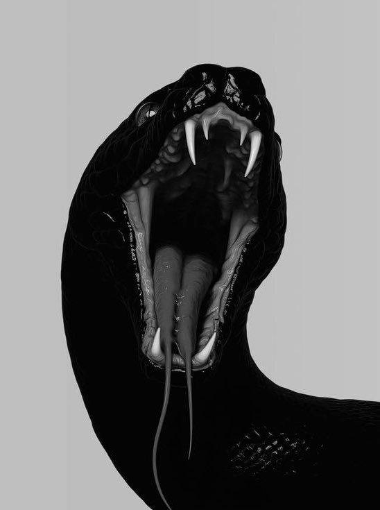 Víbora que bebe de mi sangre