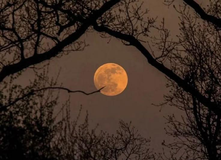 Luna otoñal y silenciosa.